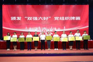 喜报！华体会官方版网站登录入口-华体会（中国）集团党支部荣获广州市非公有制经济组织“双强六好”党