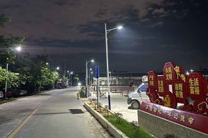 华体会官方版网站登录入口-华体会（中国）集团罗宁弟爱心捐赠路灯，点亮乡村路温暖乡民心