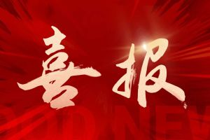 党建引领 赋能发展 | 华体会官方版网站登录入口-华体会（中国）集团党支部连获市、区两级党建荣誉